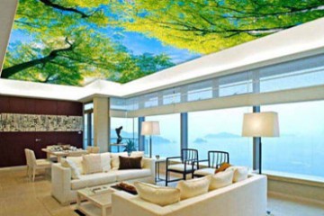Hoạt động 1 copy 2